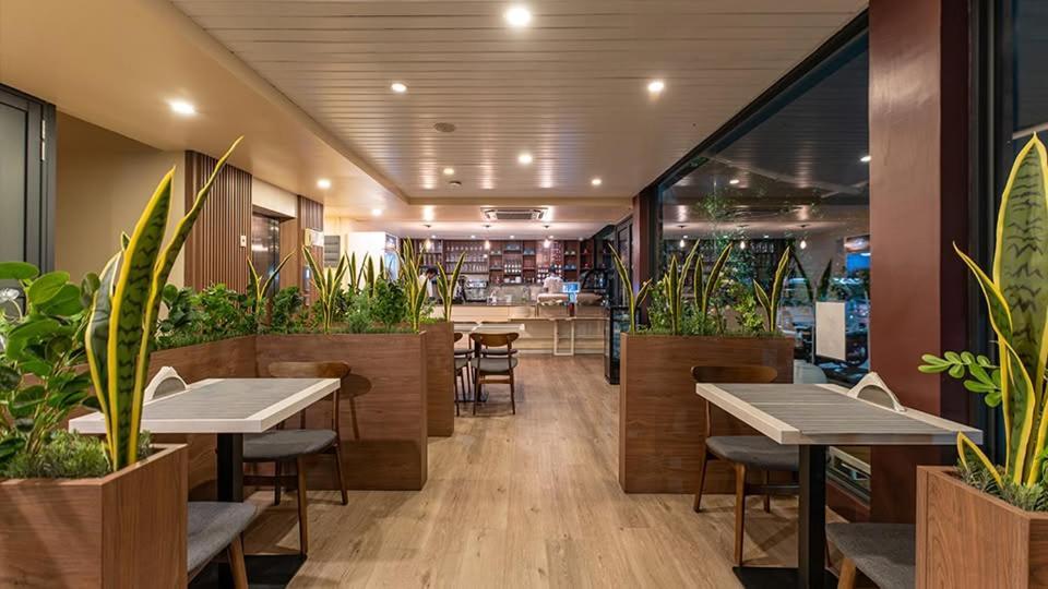 Hotel Star Shell 4*